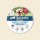 Dog flea & tick